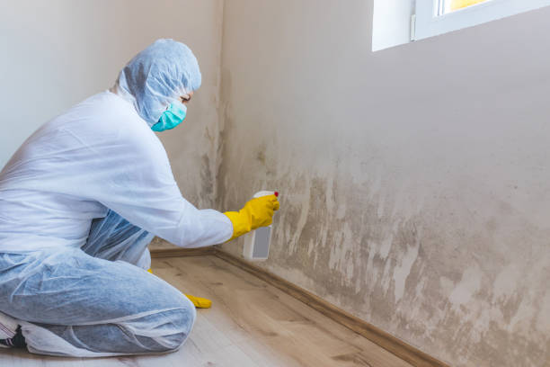 Mold Remediation specialist working in Duluth